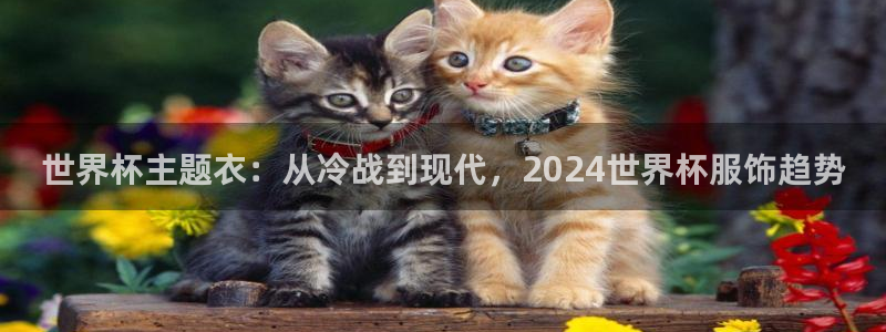 世界杯2026赛程时间表格:世界杯主题衣:从冷战到现代,2024世界杯服饰趋势