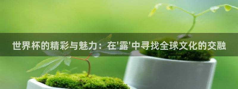 世界杯时间:世界杯的精彩与魅力:在\'露\'中寻找全球文化的交融