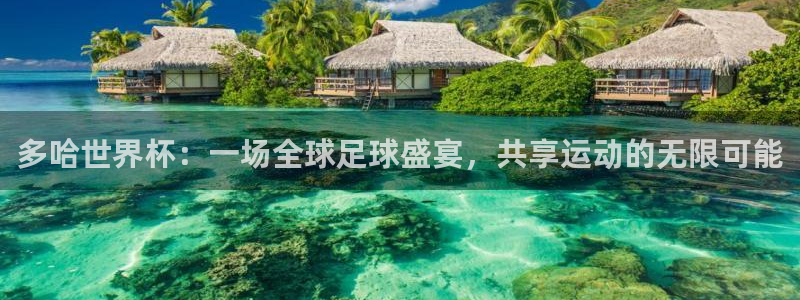 世界杯欧洲区世预赛赛程:多哈世界杯:一场全球足球盛宴,共享运动的无限可能