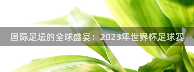 欧洲世预赛赛程表:国际足坛的全球盛宴:2023年世界杯足球赛