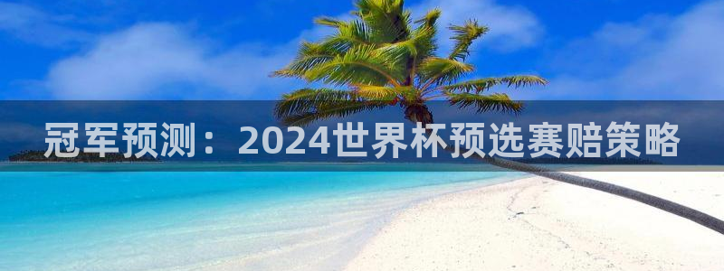 世界杯预选赛欧洲:冠军预测:2024世界杯预选赛赔策略