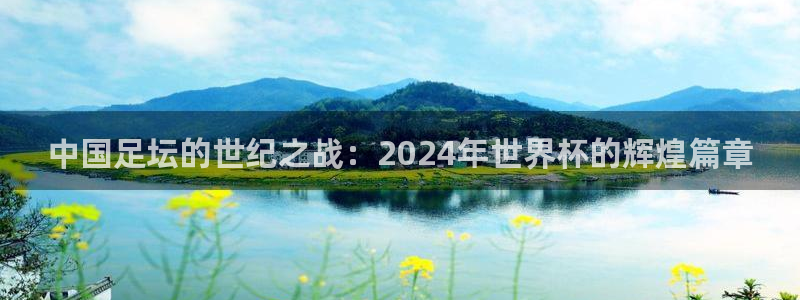2026世界杯德国队阵容:中国足坛的世纪之战:2024年世界杯的辉煌篇章