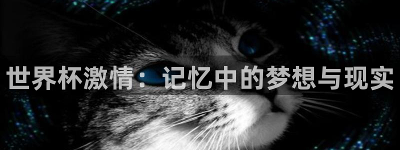 世界杯 直播:世界杯激情:记忆中的梦想与现实