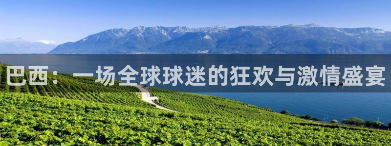 2006年世界杯冠军:巴西:一场全球球迷的狂欢与激情盛宴