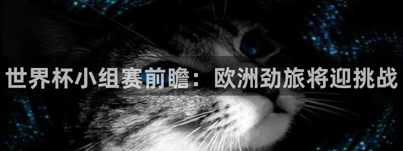 世界杯预选赛赛程表:世界杯小组赛前瞻:欧洲劲旅将迎挑战