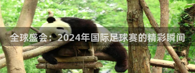 世界杯足球直播:全球盛会:2024年国际足球赛的精彩瞬间