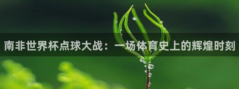 2026足球世界杯:南非世界杯点球大战:一场体育史上的辉煌时刻